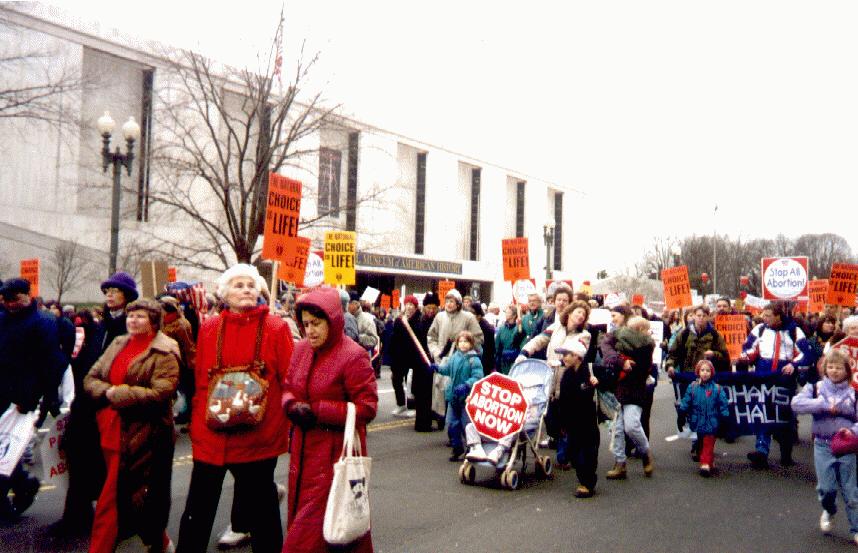 Marchers on Constitution Avenue